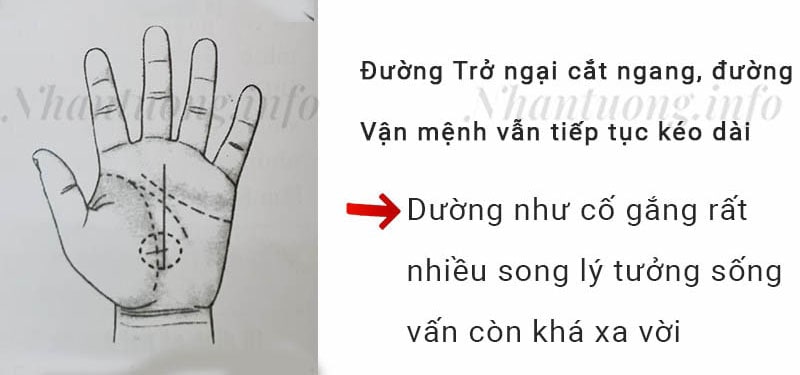 Đường Trở ngại cắt ngang, đường Vận mệnh vẫn tiếp tục kéo dài Đường Trở ngại cắt ngang, đường Vận mệnh vẫn tiếp tục kéo dài