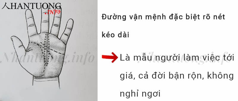 Đường vận mệnh đặc biệt rõ nét kéo dài Đường vận mệnh đặc biệt rõ nét kéo dài