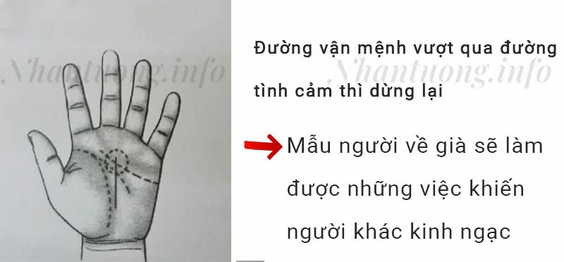 Đường vận mệnh vượt qua đường tình cảm thì dừng lại Đường vận mệnh vượt qua đường tình cảm thì dừng lại