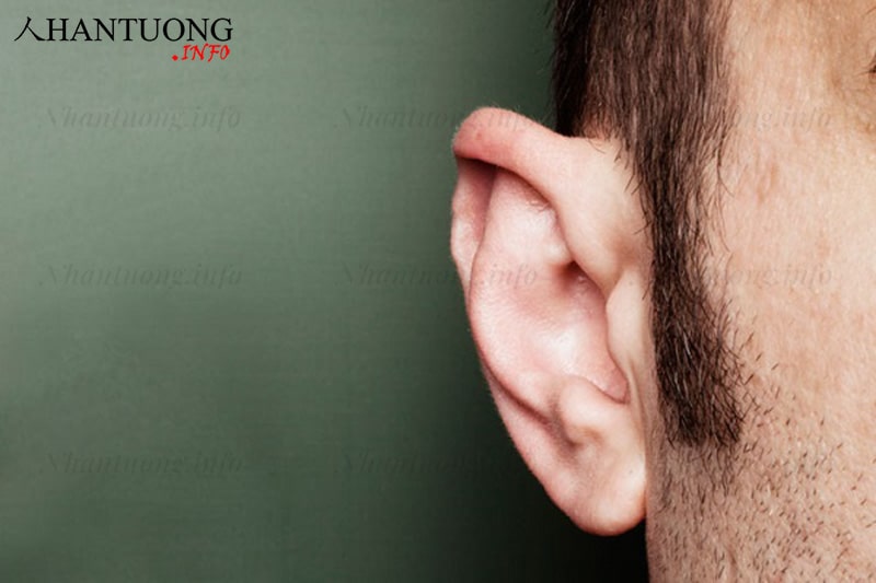 Tướng tai không có luân (vành tai) Tướng tai không có luân (vành tai)