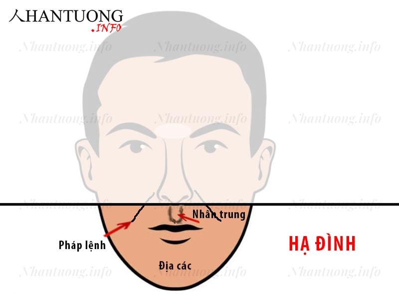 Đánh giá Hạ đình trên khuôn mặt Đánh giá Hạ đình trên khuôn mặt