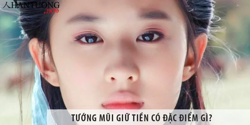 Tướng mũi giữ tiền có đặc điểm gì? Tướng mũi giữ tiền có đặc điểm gì?