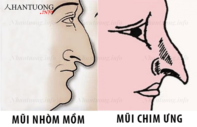 Phân biệt tương mũi nhòm mồm và mũi chim ưng Phân biệt tương mũi nhòm mồm và mũi chim ưng
