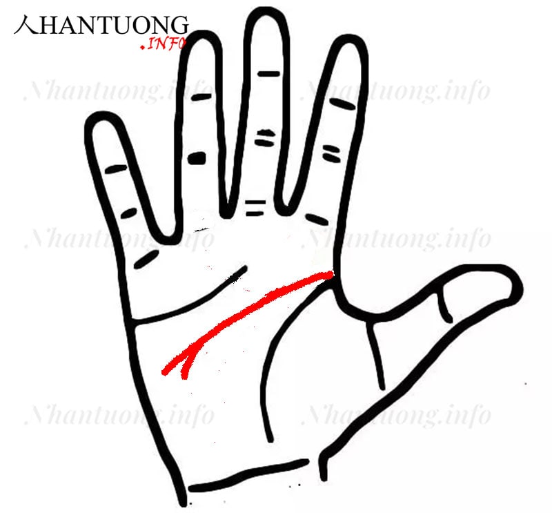 Đường trí tuệ có phân nhánh hướng xuống dưới Đường trí tuệ có phân nhánh hướng xuống dưới