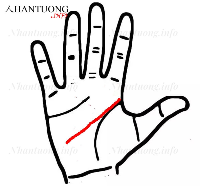 Đường trí tuệ phân nhánh hình chạc chữ y Đường trí tuệ phân nhánh hình chạc chữ y