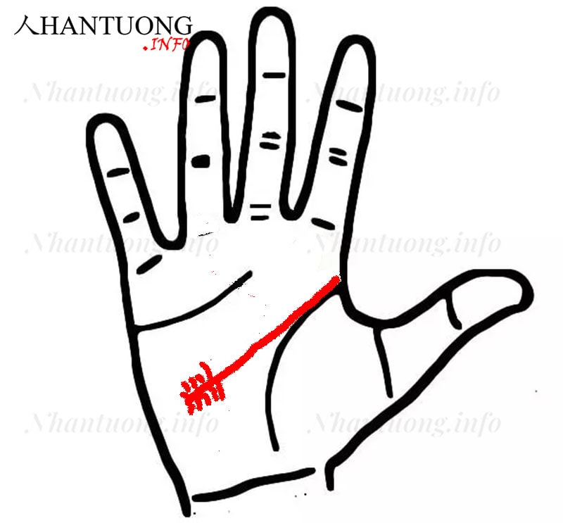 Đường trí tuệ hình chổi Đường trí tuệ hình chổi