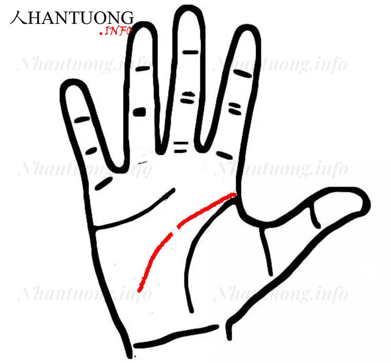 Đường trí tuệ bị đứt ở giữa Đường trí tuệ bị đứt ở giữa