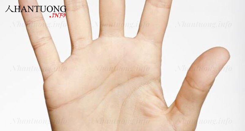 Đường trí tuệ khởi đầu cách xa đường sinh mệnh, mép bàn tay Đường trí tuệ khởi đầu cách xa đường sinh mệnh, mép bàn tay