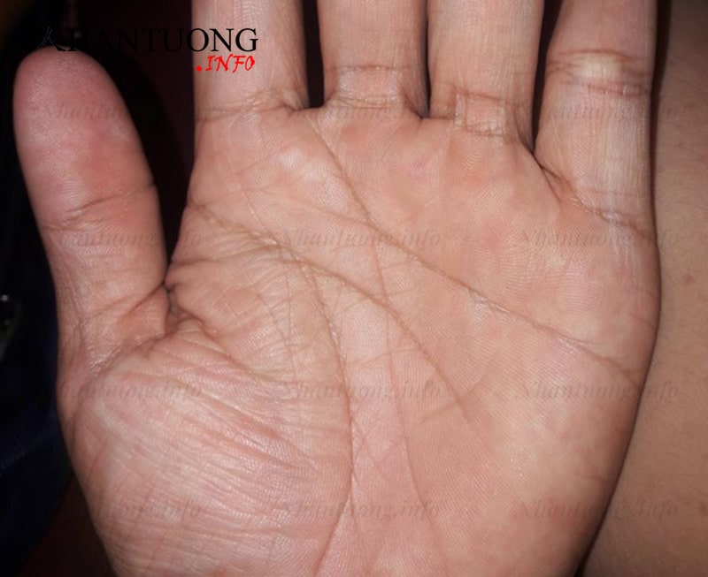 Đường trí tuệ khởi đầu trùng với đường sinh mệnh Đường trí tuệ khởi đầu trùng với đường sinh mệnh