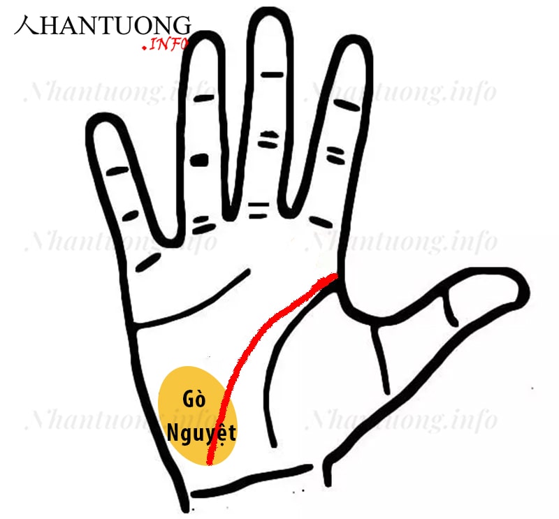 Cuối đường trí tuệ nằm ở phần dưới gò nguyệt Cuối đường trí tuệ nằm ở phần dưới gò nguyệt