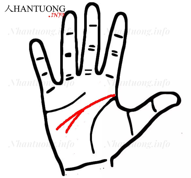 Đường trí đạo rẽ nhánh Đường trí đạo rẽ nhánh