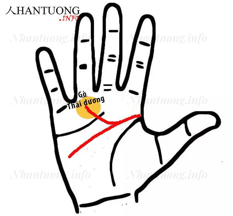 Đường trí tuệ phân nhánh hướng lên trên Đường trí tuệ phân nhánh hướng lên trên