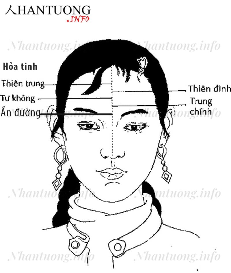 Các phần trên trán cần chú ý Các phần trên trán cần chú ý