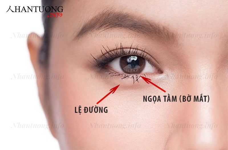 Vị trí Lệ đường trên khuôn mặt Vị trí Lệ đường trên khuôn mặt