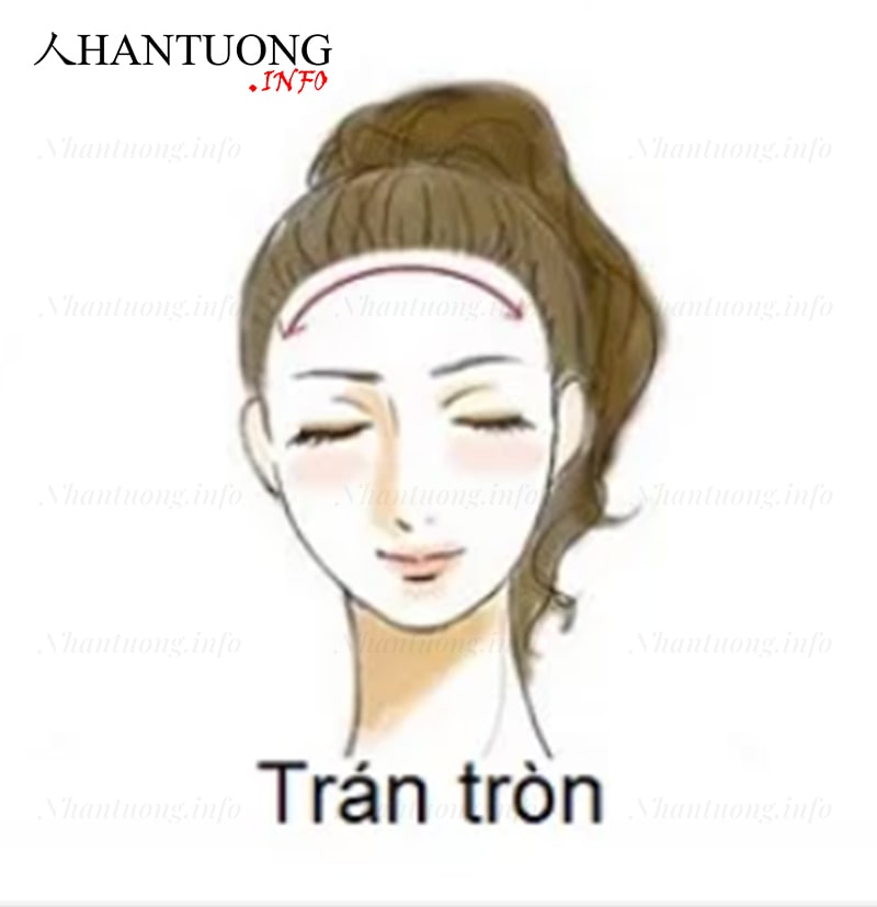 Đặc điểm tướng trán tròn Đặc điểm tướng trán tròn