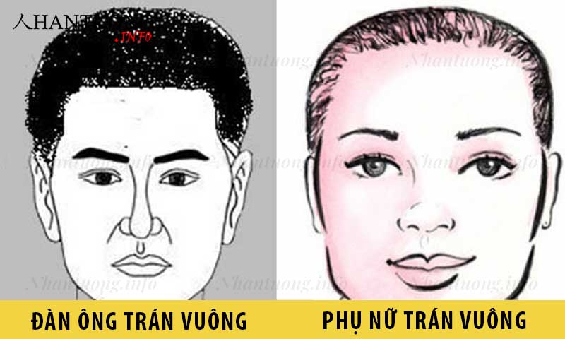 Đặc điểm tướng trán vuông ở đàn ông và phụ nữ Đặc điểm tướng trán vuông ở đàn ông và phụ nữ
