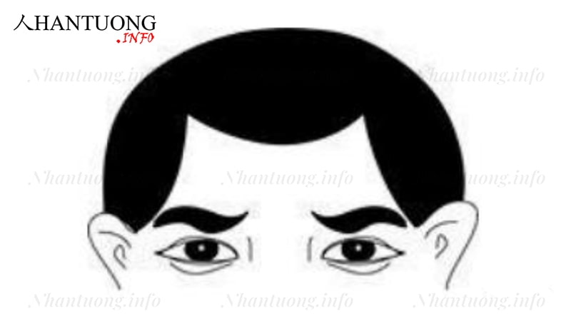 Trán chữ M mà hai đỉnh nhọn Trán chữ M mà hai đỉnh nhọn