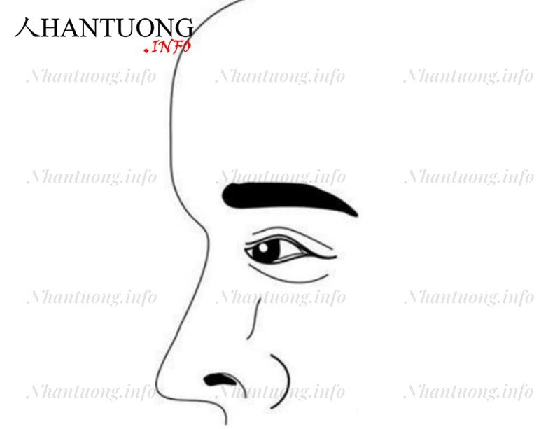 Đàn ông trán dựng đứng Đàn ông trán dựng đứng