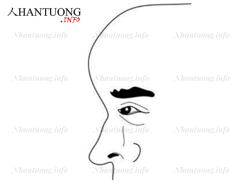Đàn ông trán gồ cao Đàn ông trán gồ cao