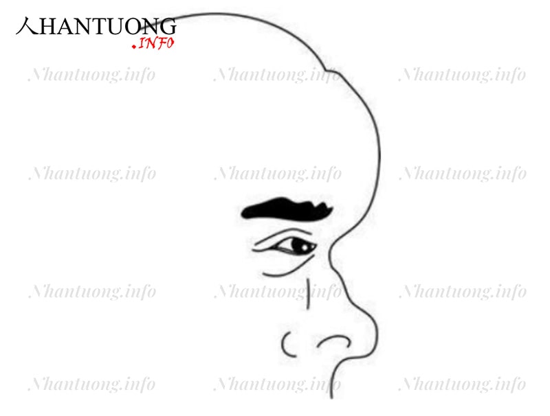 Đàn ông trán nhô ra Đàn ông trán nhô ra