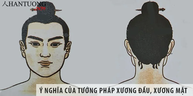 tuong-phap-xuong-dau Ý nghĩa của tướng pháp xương đầu, xương mặt và các quý tướng