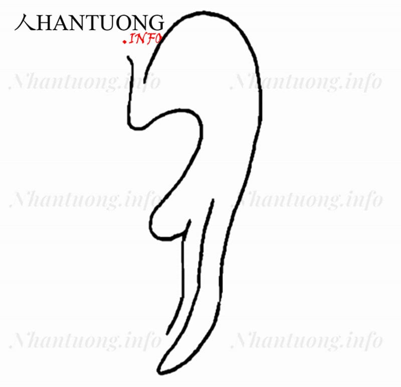 Tướng tai cánh quạt Tướng tai cánh quạt