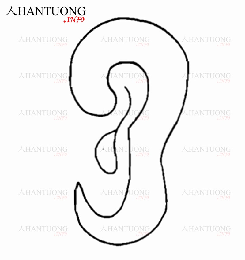 Tướng tai heo thường thấy ở người đam mê cờ bạc Tướng tai heo thường thấy ở người đam mê cờ bạc